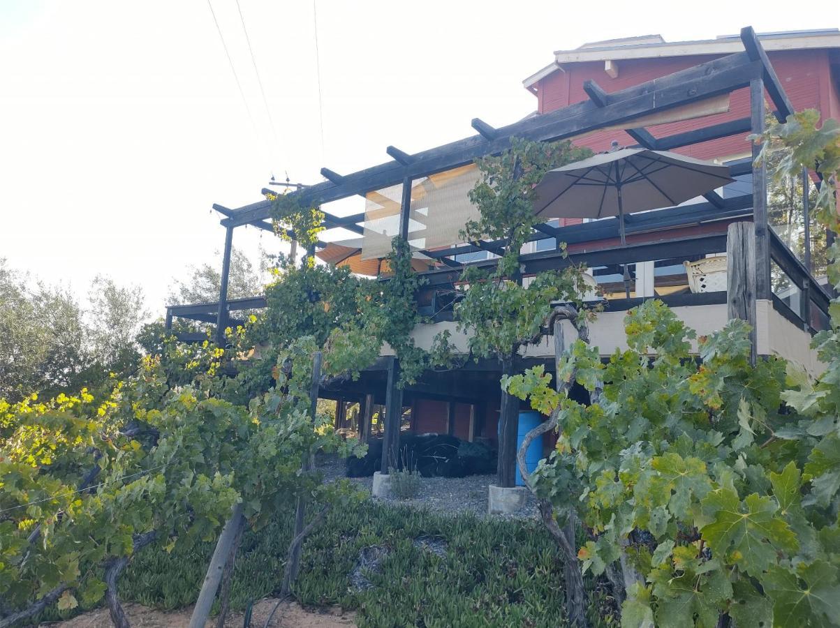 Rancho Los Amigos Cabin Lodge エンセナダ エクステリア 写真