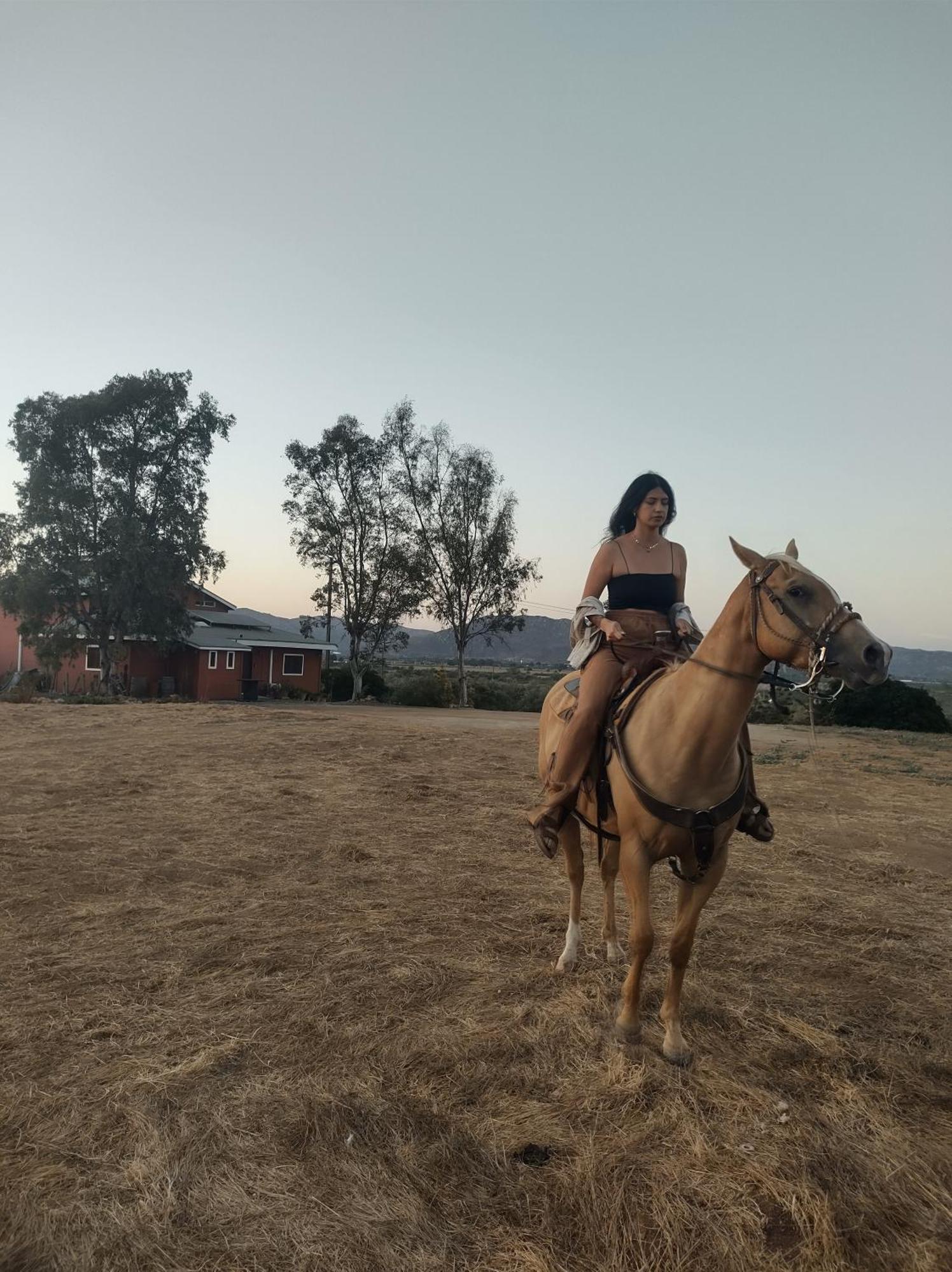 Rancho Los Amigos Cabin Lodge エンセナダ エクステリア 写真